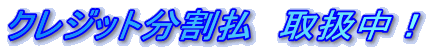 �N���W�b�g�������@�戵���I