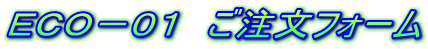 ECO-01�@�������t�H�[��